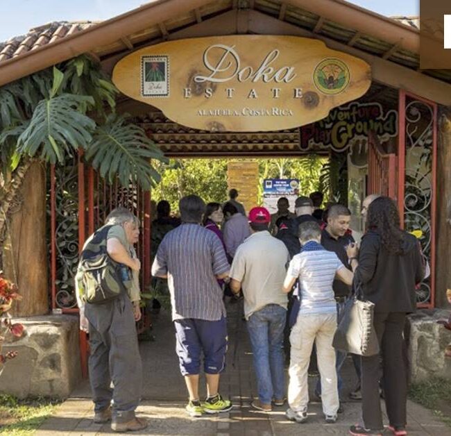 32116597_10155666624674492_3544152835941728256_n