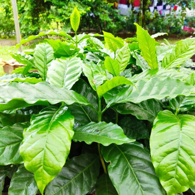 5a64aac2-fff4-4a9a-9537-30e0ddab194b