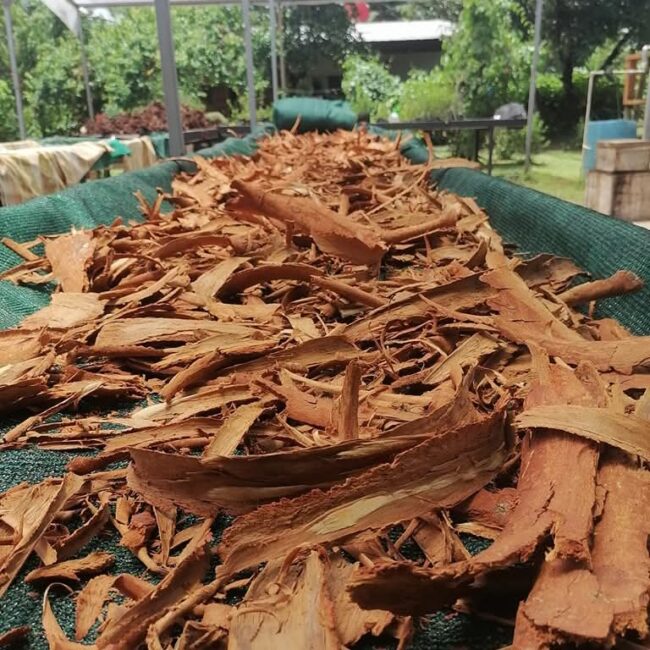 7ca14e15-373c-428c-8ede-e9c806ca2eef