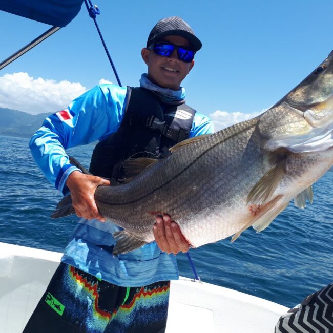 IMG-20180326-WA0019-1