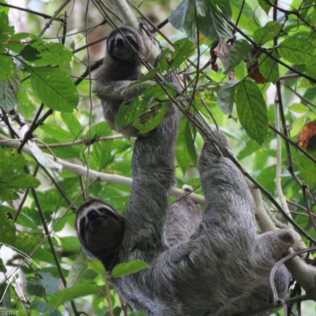 IMG_20201222_123917_672 (1)