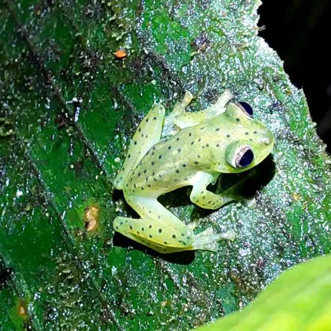 IMG_20220814_175154_012