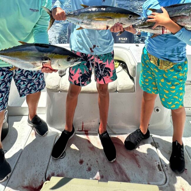 costa-rica-sport-fishing-half-day-private-guided-experience-6064194