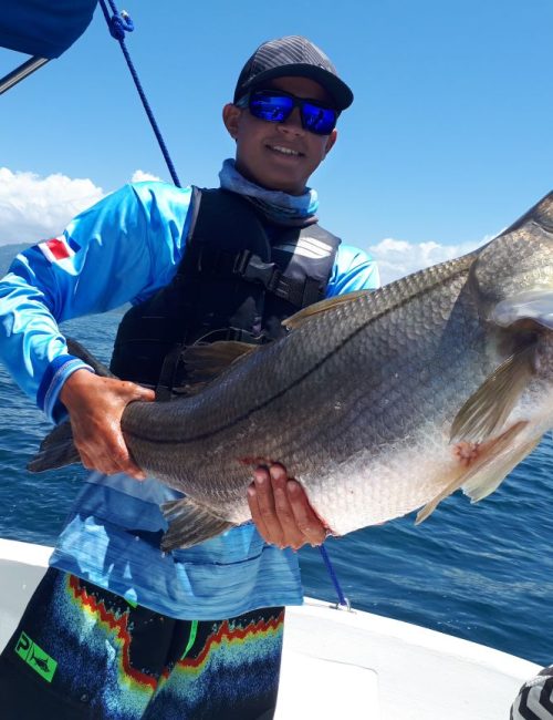 IMG-20180326-WA0019-1