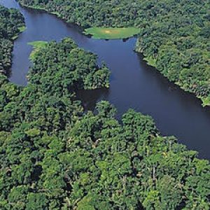 a561a9_fc57d33e2d8c4ce6811d9221d1e4b9d0_mv2